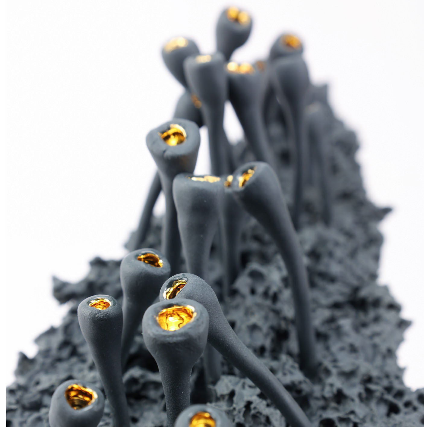 Foto eigen werk (voor de deelnemerslijst)