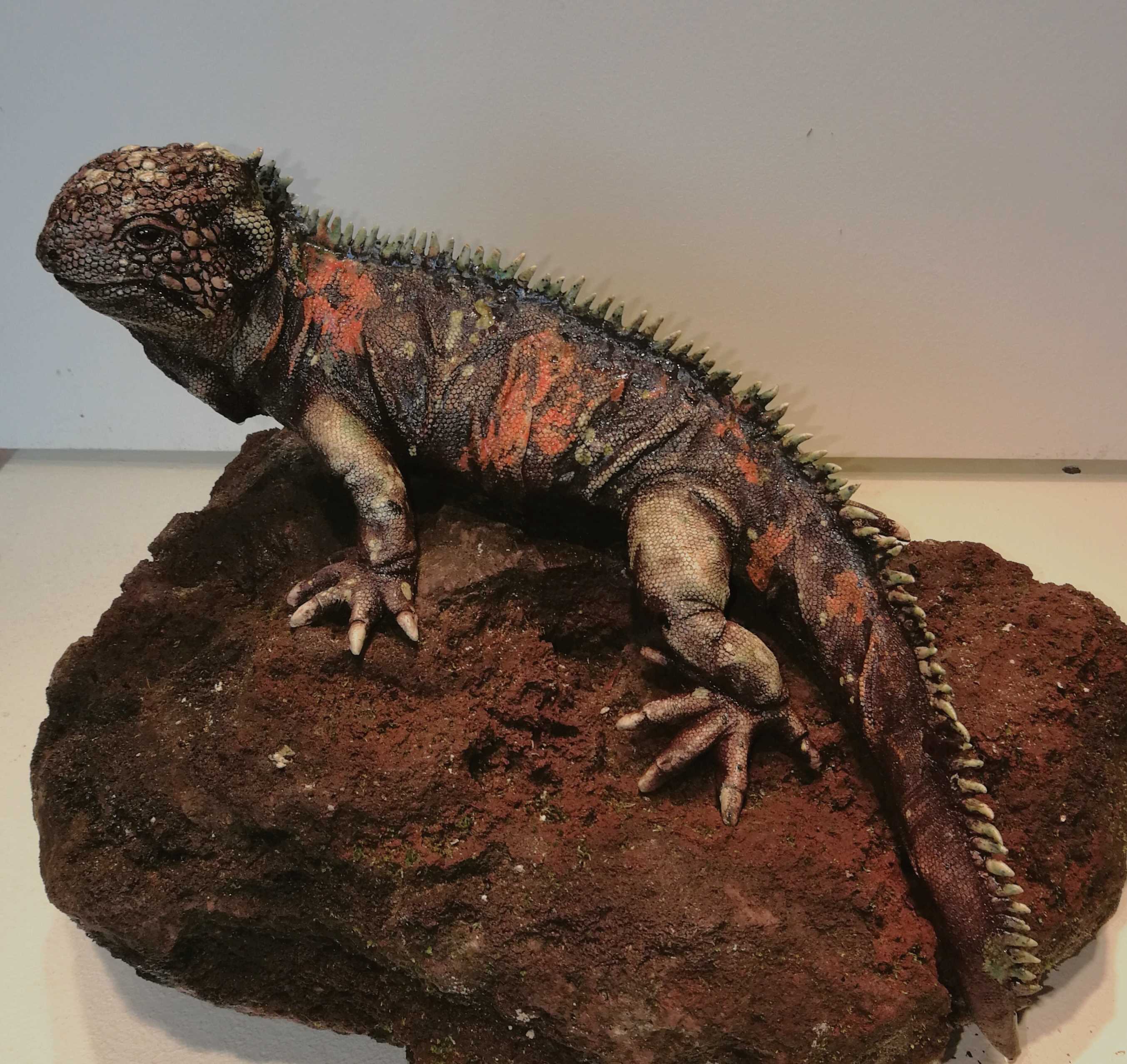 Foto eigen werk (voor de deelnemerslijst)