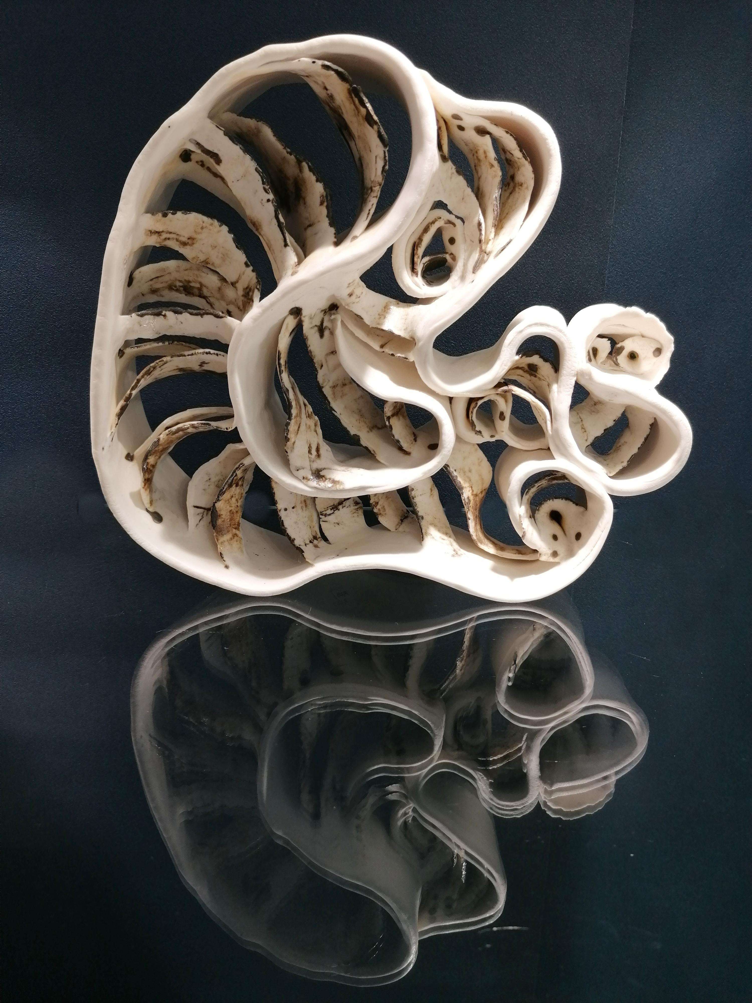 Foto eigen werk (voor de deelnemerslijst)